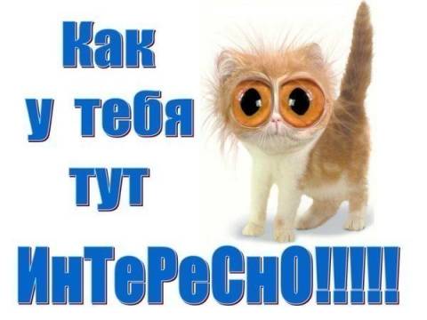 Бот К Игре Удивительный Колхоз