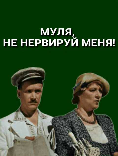 Фаина раневская муля. Муля не нервируй меня актриса. Высказывания фаины раневской. Раневская муля. Подкидыш муля не нервируй меня.